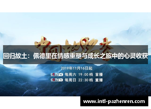 回归故土：佩德里在情感重塑与成长之旅中的心灵收获