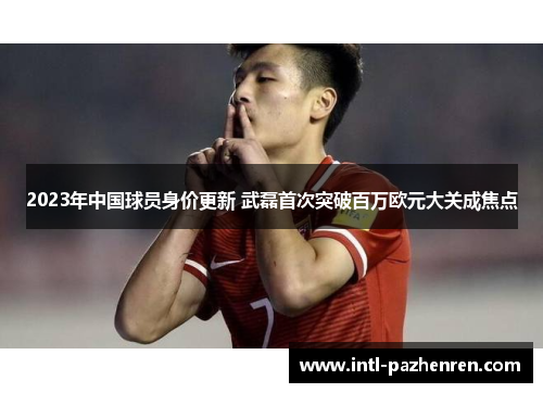 2023年中国球员身价更新 武磊首次突破百万欧元大关成焦点