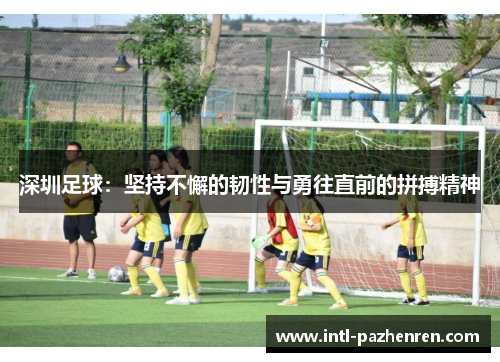 深圳足球：坚持不懈的韧性与勇往直前的拼搏精神