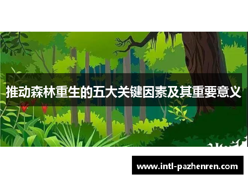 推动森林重生的五大关键因素及其重要意义 推动森林重生的五大关键因素及其重要意义