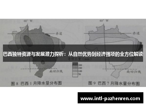 巴西独特资源与发展潜力探析：从自然优势到经济强项的全方位解读