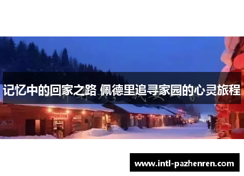 记忆中的回家之路 佩德里追寻家园的心灵旅程