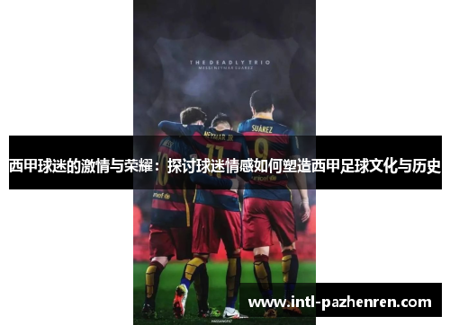 西甲球迷的激情与荣耀：探讨球迷情感如何塑造西甲足球文化与历史